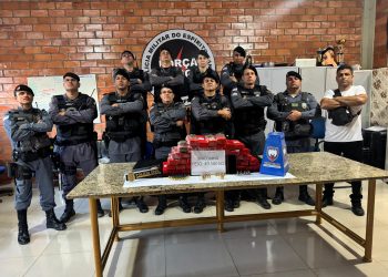 PM apreende quase 50 kg de maconha e mais de 90 munições em Barra de São Francisco