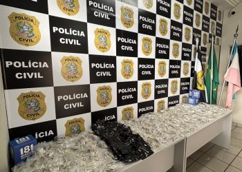 Denarc apreende mais de 400 unidades de cogumelos alucinógenos em Vitória