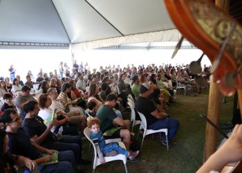 Festival Cine.Ema completa 10 anos com concerto sinfônico e cinema ao ar livre na Mata Atlântica