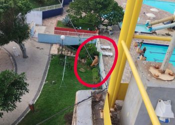 Canário “sabota” estação que mede pó preto na Grande Vitória
