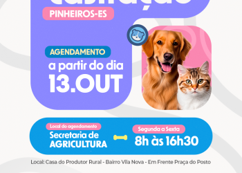 Prefeitura de Pinheiros abre agendamento para mutirão de castração gratuita de cães e gatos