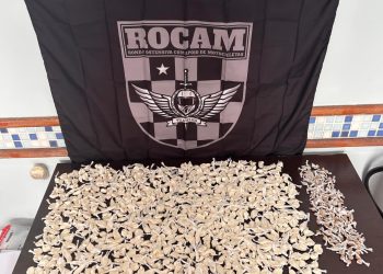Guarda Municipal apreende mais de 700 papelotes de cocaína
