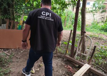 CPI dos Maus-Tratos confirma negligência no caso Sheik após audiência em Alegre