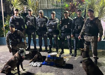 PMES apreende 37 quilos de maconha durante Operação na Serra