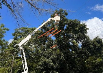 EDP realiza mutirão de melhorias na rede elétrica em Nova Venécia