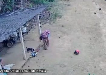 MPES denuncia homem que matou cachorro enforcado em   em Vila Valério