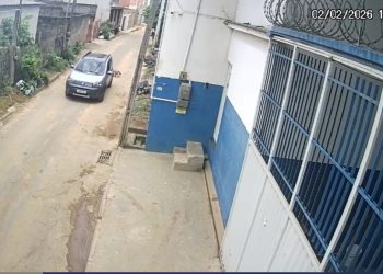PCES conclui inquérito sobre atropelamento de cão em Cariacica
