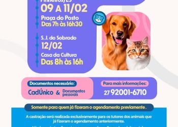 Pinheiros inicia nova etapa de castrações a partir desta segunda (9)