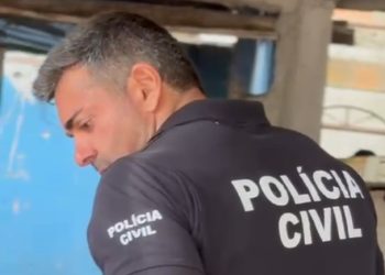 Operação conjunta resgata 12 suínos em situação de maus-tratos em Vila Velha