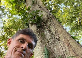 Natureza agradece: Empresário cria sombra, vida e exemplo na orla de Vitória e planta árvores em área de 4.000 metros de sua empresa