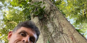 Natureza agradece: Empresário cria sombra, vida e exemplo na orla de Vitória e planta árvores em área de 4.000 metros de sua empresa