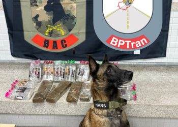 PMES apreende drogas e lança-perfume com auxílio de cão farejador durante operação em Vitória