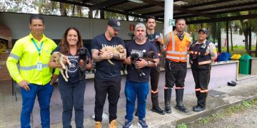 Cadela e cinco filhotes são resgatados em área de risco no pátio da VLI em Cariacica Cadela e cinco filhotes são resgatados em área de risco no pátio da VLI em Cariacica