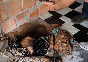 CPI de Maus-tratos investiga morte de cadela por envenenamento na Ilha do Príncipe, em Vitória CPI de Maus-tratos investiga morte de cadela por envenenamento na Ilha do Príncipe, em Vitória