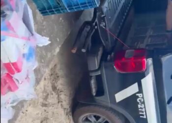 PCES realiza a destruição de aproximadamente 300 quilos de drogas apreendidas em São Mateus