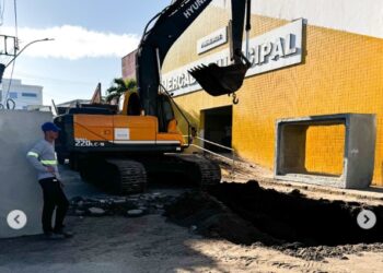 MACRODRENAGEM EM PINHEIROS: LOGÍSTICA PRESERVADA E AVANÇO INFRAESTRUTURAL