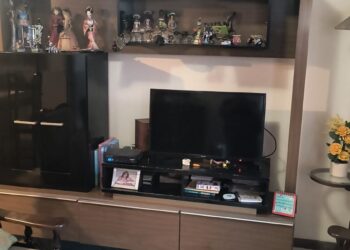 Guarda Municipal resgata jiboia na estante da sala de uma casa na Prainha