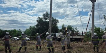 EDP reconstrói travessia sobre o Rio Cricaré e reforça a segurança do sistema elétrico em São Mateus EDP reconstrói travessia sobre o Rio Cricaré e reforça a segurança do sistema elétrico em São Mateus