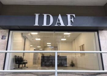 Mutirão do Idaf em Mimoso do Sul acontece esta semana para reconstituir processos perdidos nas enchentes