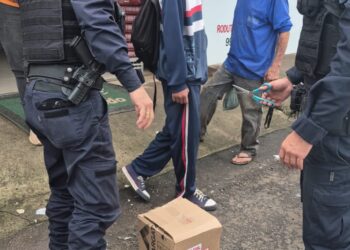 Guarda Municipal resgata mais um gambá nesta segunda-feira