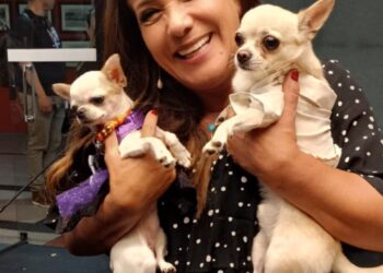 Projeto de lei de autoria da deputada estadual Janete de Sá é aprovado na Assembleia Legislativa por permitir a visita de pets a pacientes internados no Espírito Santo Projeto de lei de autoria da deputada estadual Janete de Sá é aprovado na Assembleia Legislativa por permitir a visita de pets a pacientes internados no Espírito Santo