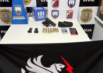 PCES e PMES apreendem arma e munições durante operação em Pinheiros