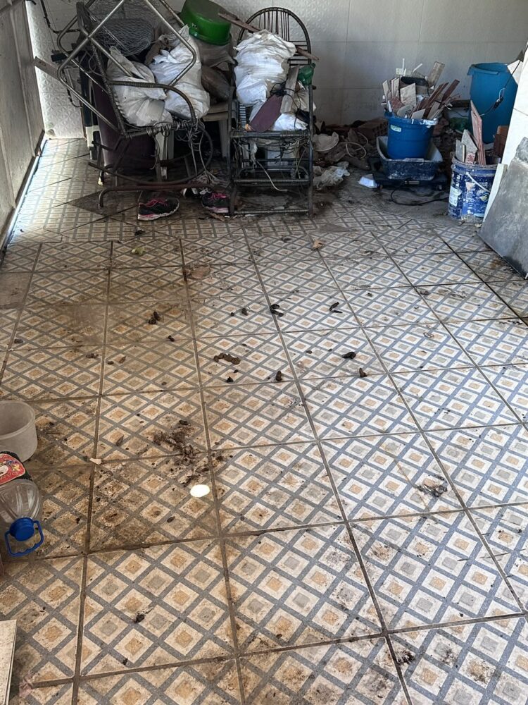 CPI de Maus-tratos aos Animais resgata cachorro da raça Pug abandonado e maltratado e prendem tutor por maus-tratos em Vitória
