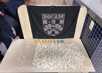 Guarda Municipal apreende 400 papelotes de cocaína e 265 pedras de crack em Jardim Marilândia Guarda Municipal apreende 400 papelotes de cocaína e 265 pedras de crack em Jardim Marilândia