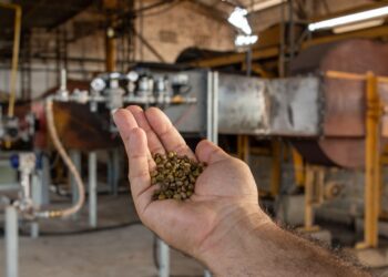 Projeto que aumenta rendimento na secagem do café será apresentado na FICC e terá novos testes no Norte do Estado