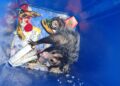 Guarda Municipal resgata gambá dentro de lixeira em Coqueiral de Itaparica