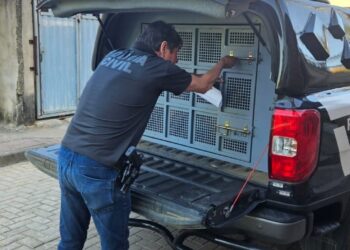 PCES conclui investigação e prende homem por furto mediante fraude eletrônica contra idoso em Barra de São Francisco