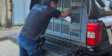 PCES conclui investigação e prende homem por furto mediante fraude eletrônica contra idoso em Barra de São Francisco
