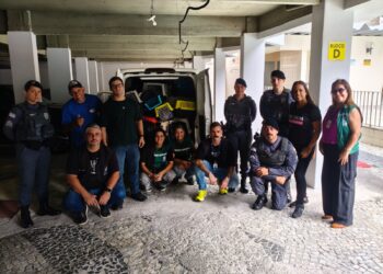 CPI de Maus-Tratos aos Animais resgata 10 animais em condições insalubres em apartamento de Vila Velha CPI de Maus-Tratos aos Animais resgata 10 animais em condições insalubres em apartamento de Vila Velha
